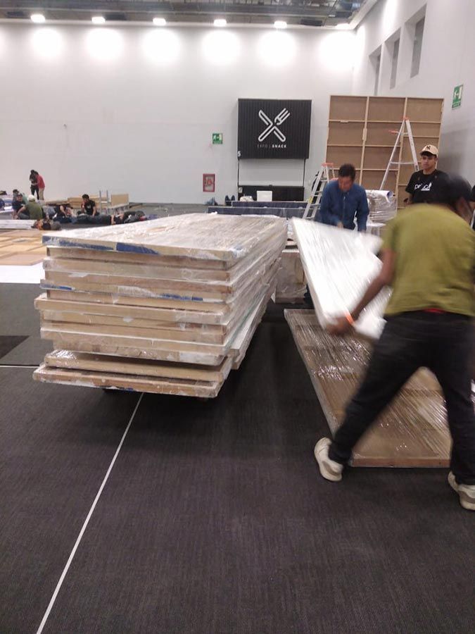 FLETES Y MUDANZAS EL MOISES