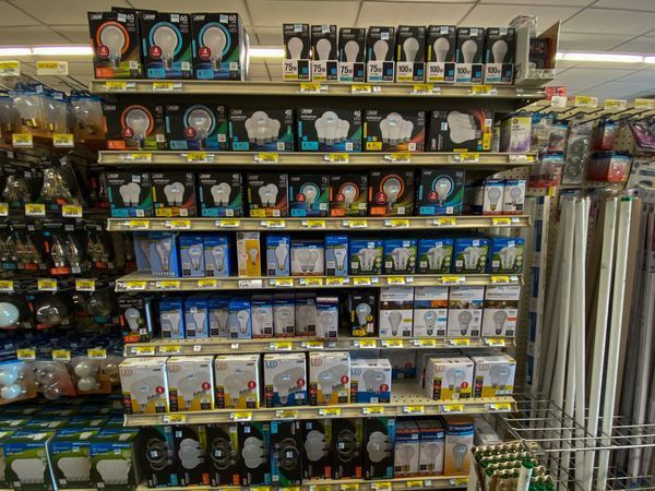 A store shelf filled with lots of different types of light bulbs