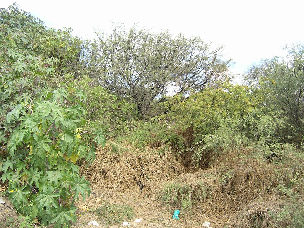 Terreno en venta de 80 a 100 hectáreas en Colón Querétaro