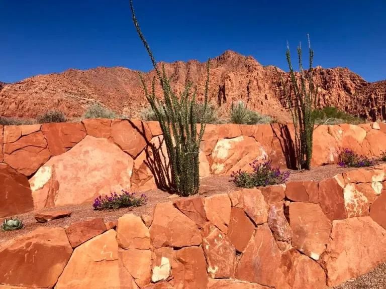 A rock wall with cactus and flowers in front of a mountain.