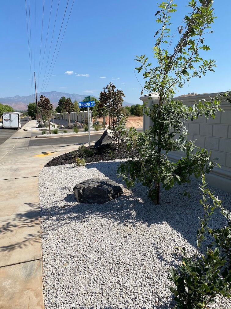 There is a tree in the middle of a gravel area.