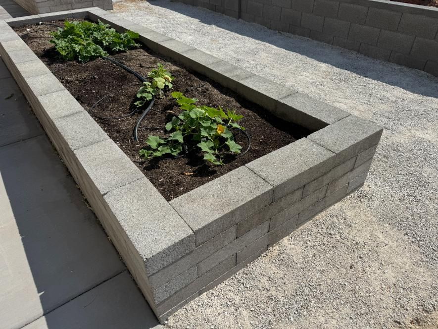 A brick planter with plants growing in it