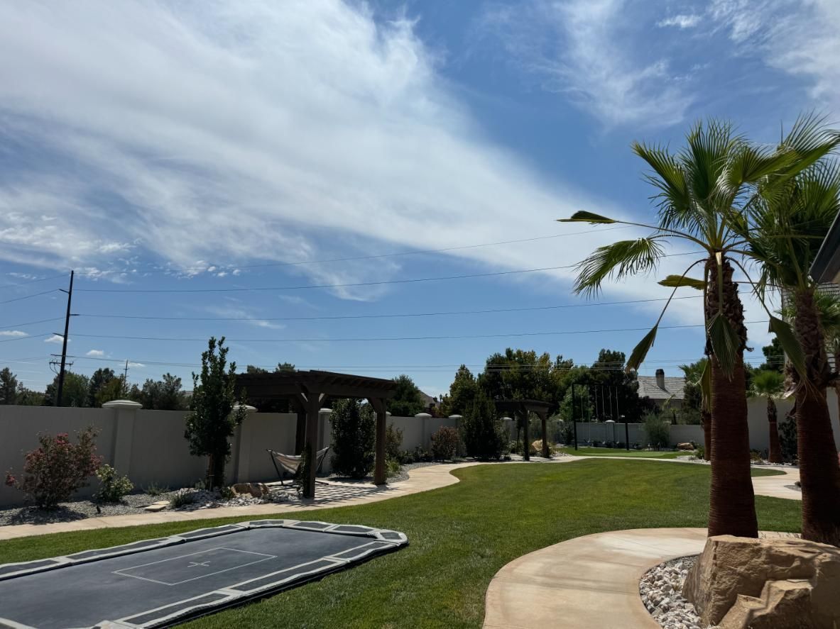 A backyard with a trampoline and palm trees