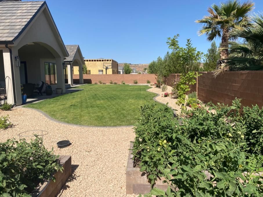 A lush green yard with a house in the background