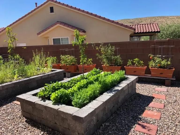 A garden with lots of plants and a house in the background