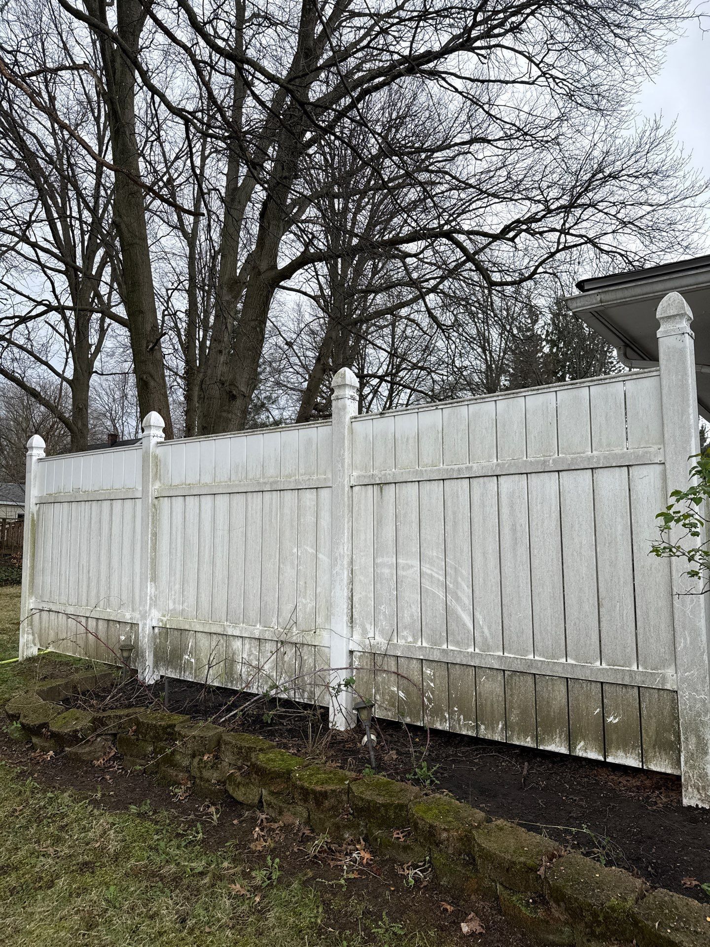 Dirty White vinyl fence beside leafless trees and a house in a muddy yard