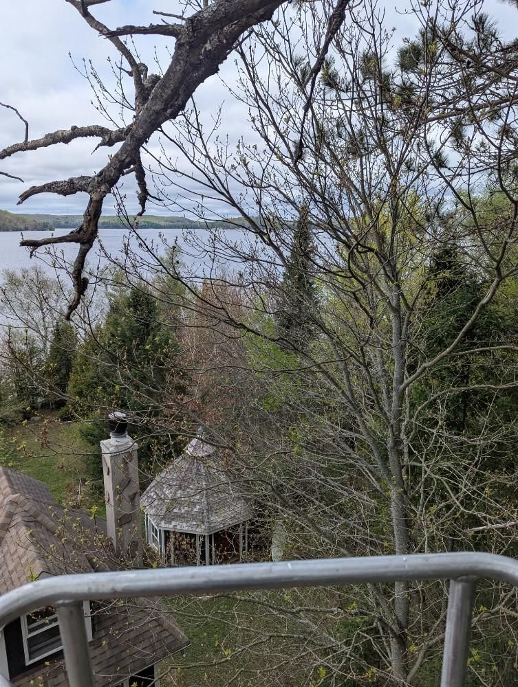 Overhead view: Trees, gazebo, chimney, and lake on a cloudy day.