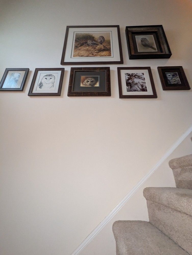 Seven framed pictures on a beige wall above carpeted stairs. Frames are dark brown.