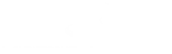 Bernardini Logo