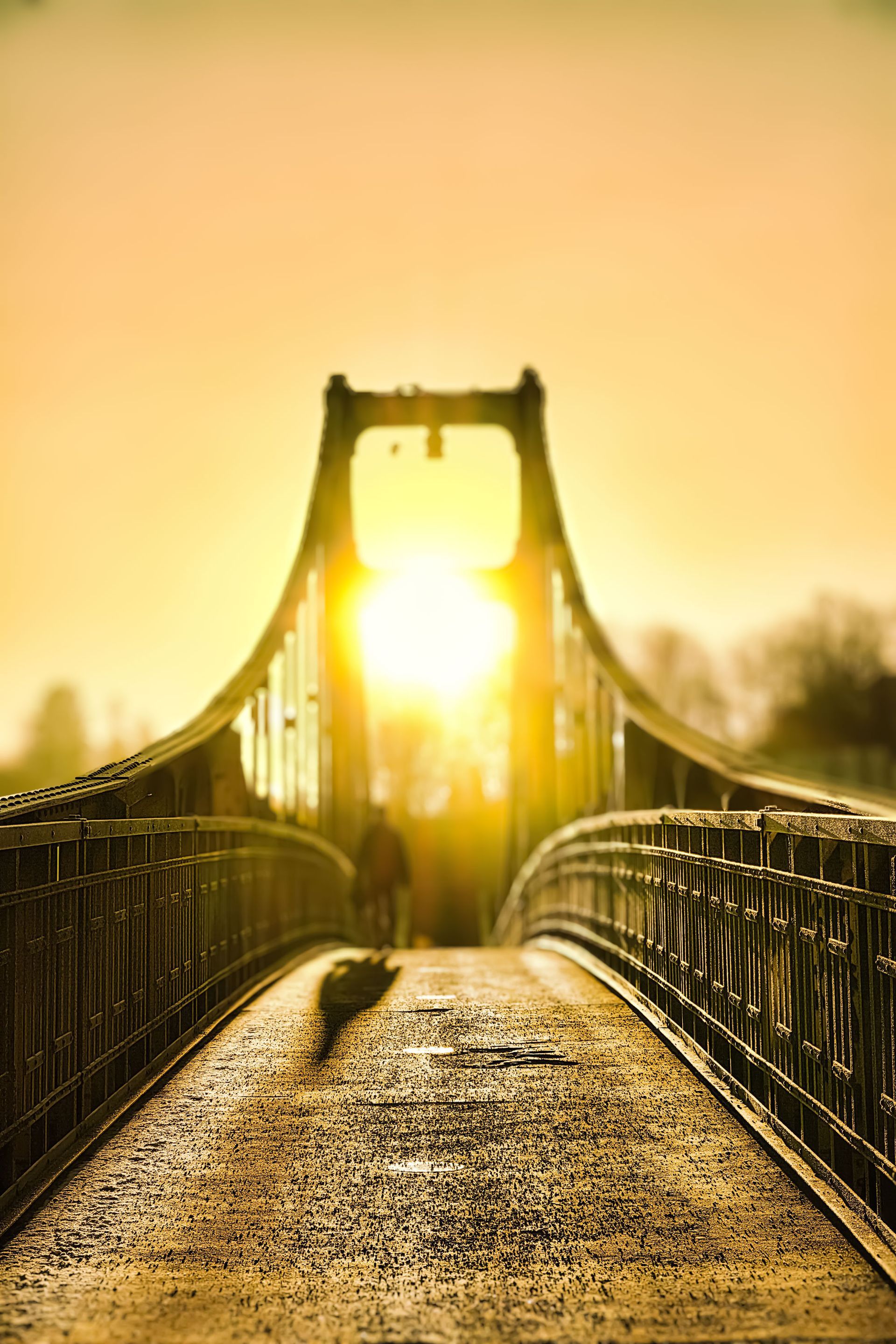 Ein sonnenbeschienener Hängebrückensteg mit Geländern und einem warmen, goldenen Sonnenaufgang vor uns.