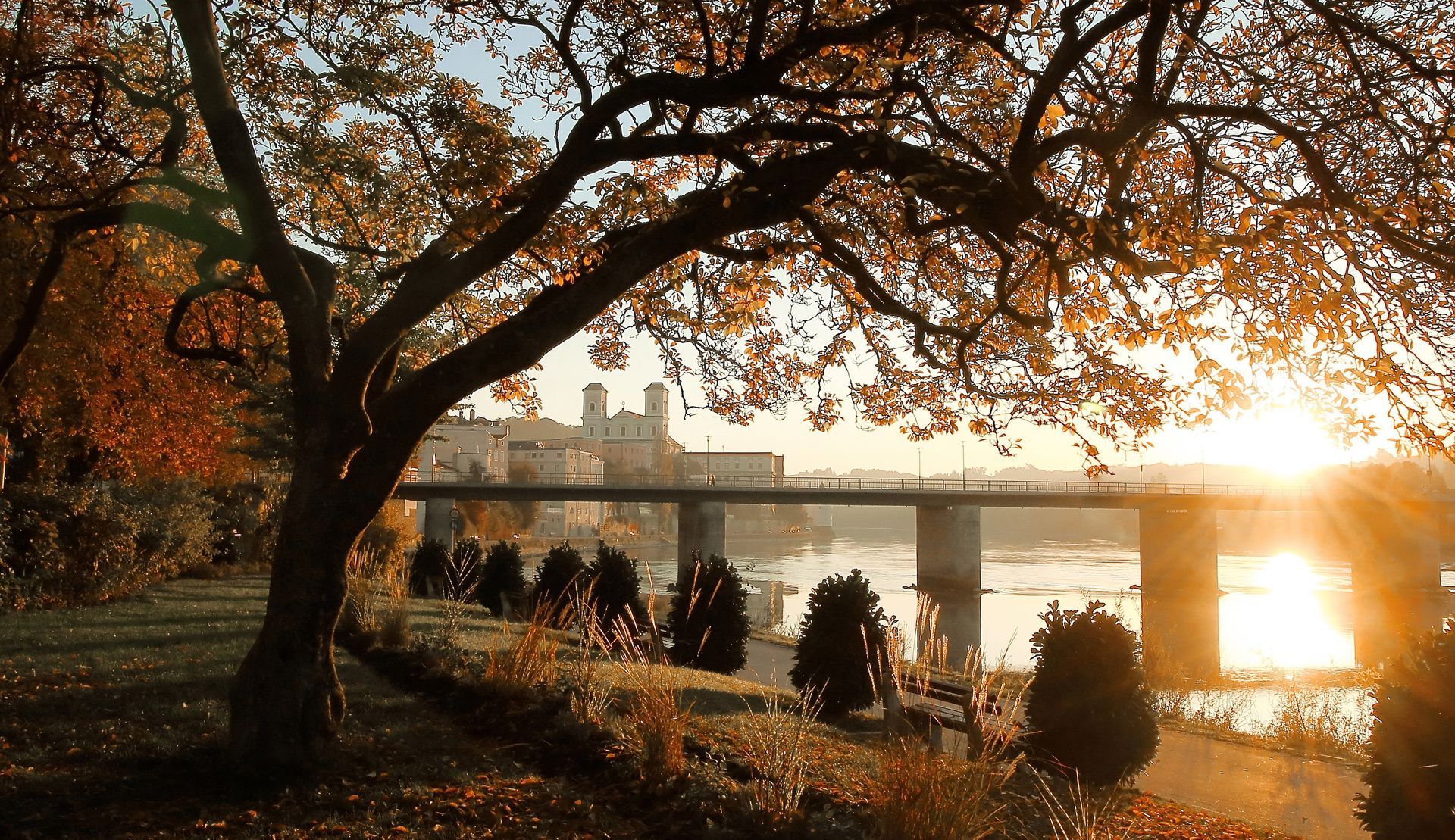 Sonnenuntergang über einem Park am Flussufer mit einem großen Baum, Spaziergängern und einer Brücke im Hintergrund