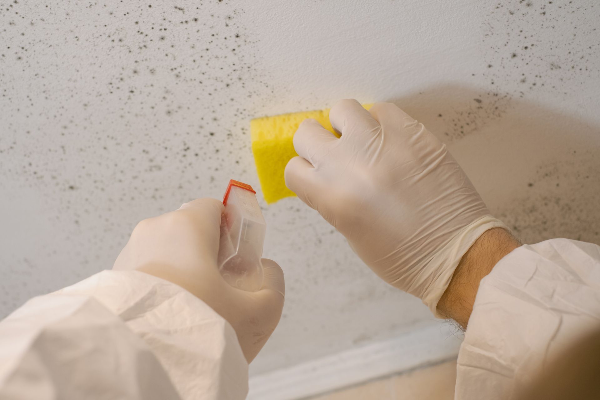 A person wearing gloves is cleaning a wall with a sponge.