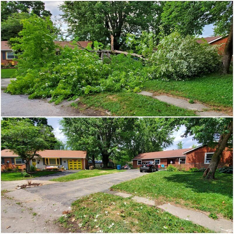 A before and after picture of a tree being cut down in a residential neighborhood.