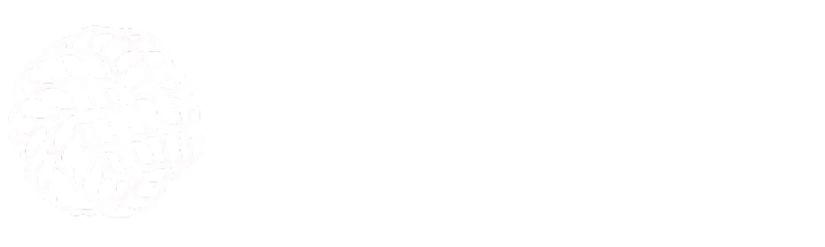 A white background with a few lines on it.