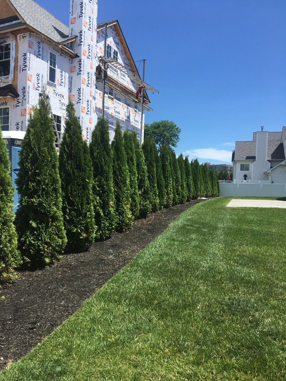 Elegant Privacy Hedge - Oceanport, NJ - Privacy Kings