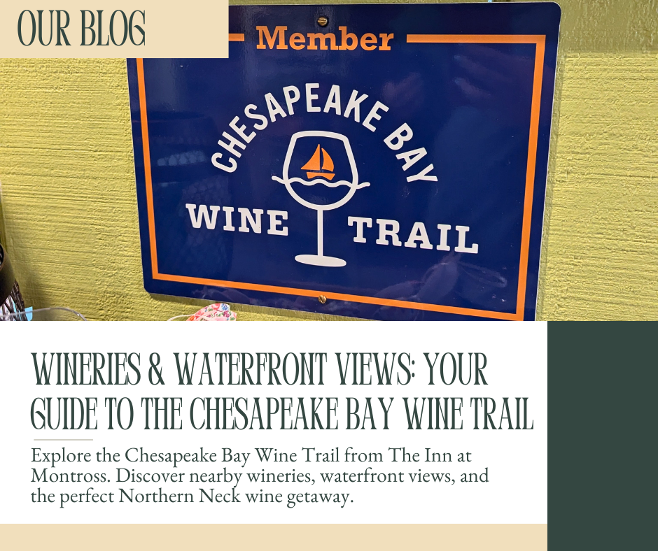 Wineries & Waterfront Views: Your Guide to the Chesapeake Bay Wine Trail