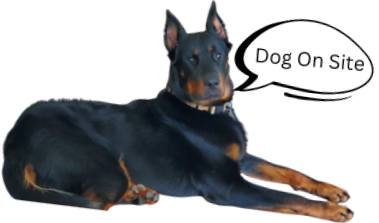 Doberman pinscher laying down,