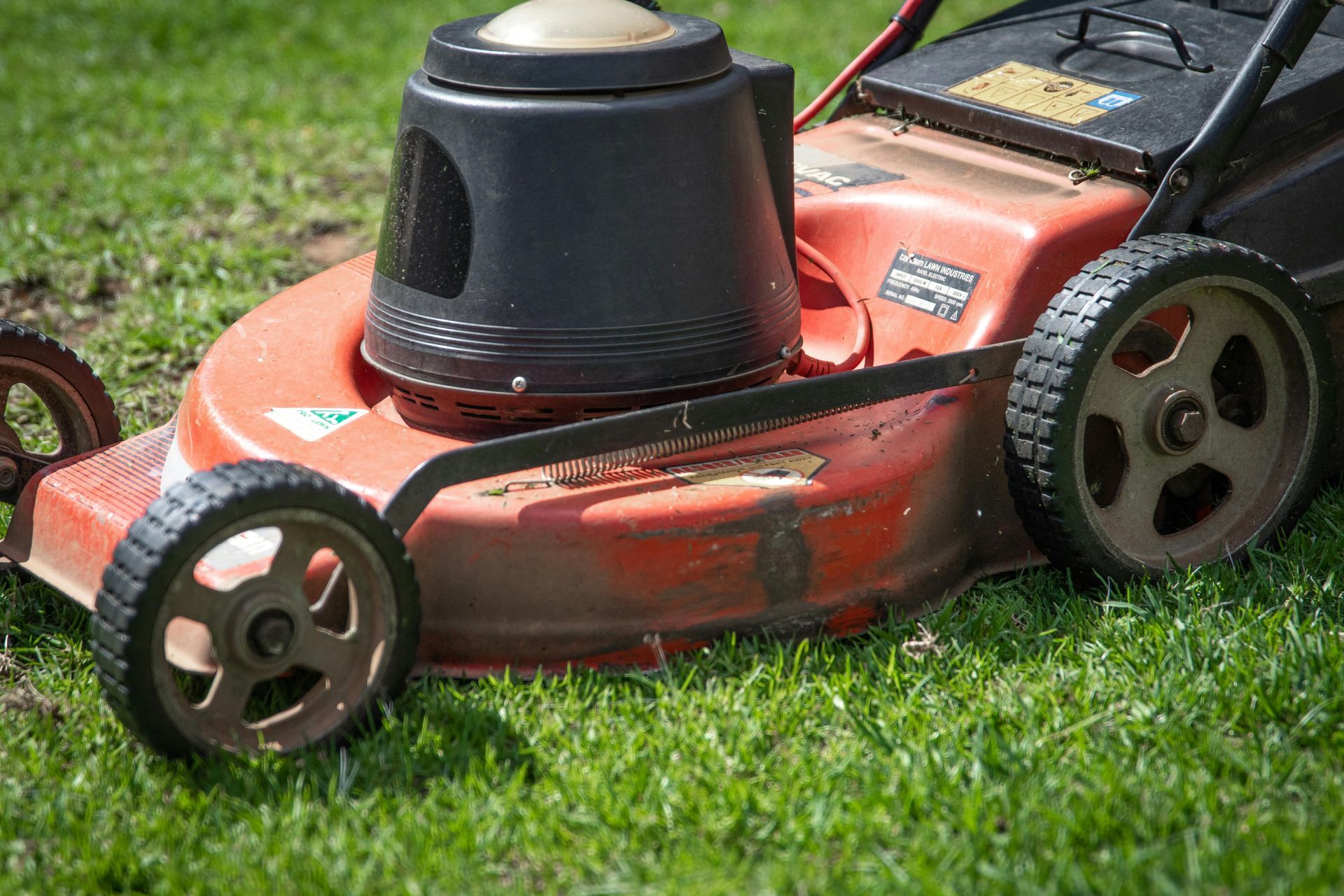Red lawnmower on green grass. Close-up view of the machine.
