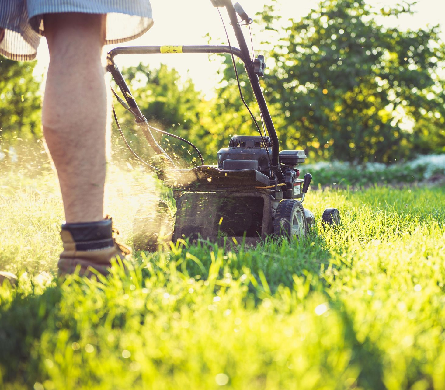 A person mowing a green lawn with a lawnmower on a sunny day.