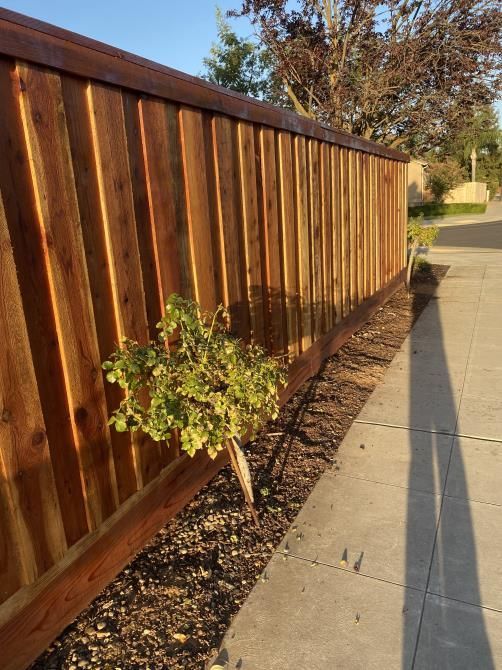 A wooden fence along a sidewalk with a small plant growing next to it.