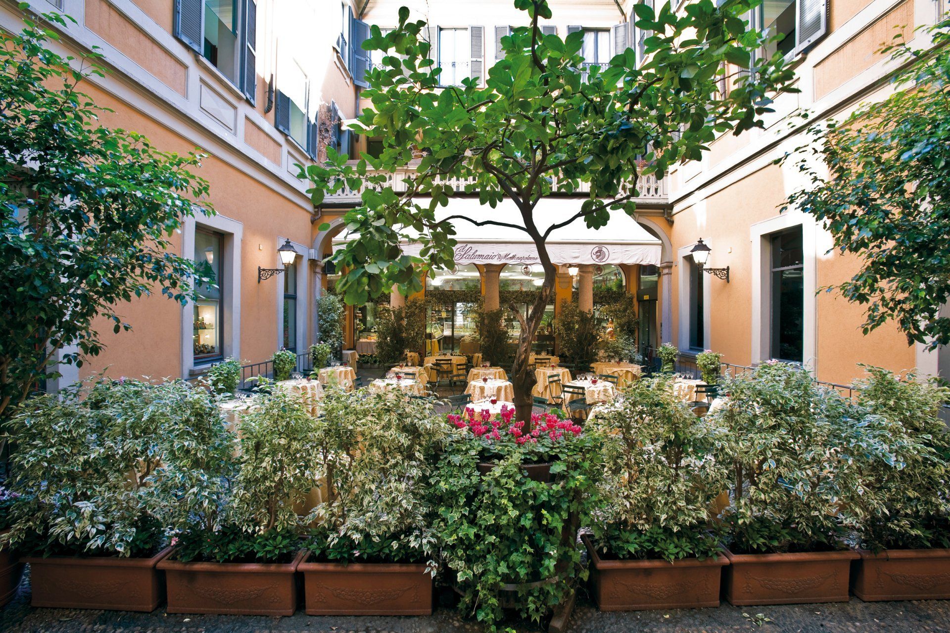 Un cortile con un albero al centro