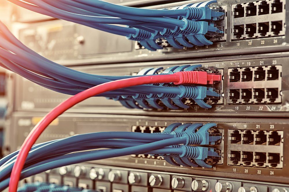 Ethernet Cables Plugged In A Network Hub — Frontier Connect in Newtown, QLD