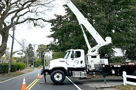 a white crane truck is parked on the side of the road next to a tree .