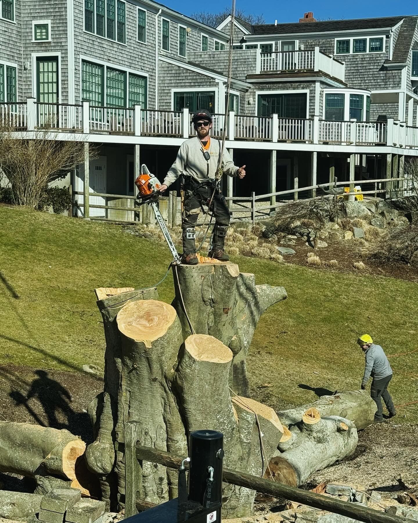 A man is standing on top of a tree stump with a chainsaw.