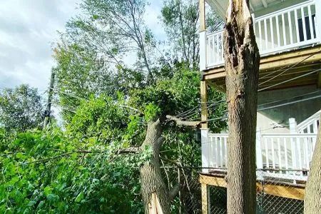 A broken tree next to a two-story building with a balcony; green foliage and a cloudy sky.