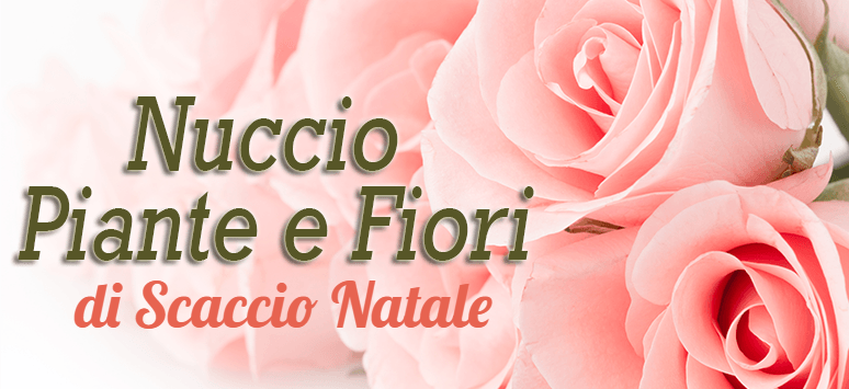 logo Nuccio Piante e Fiori