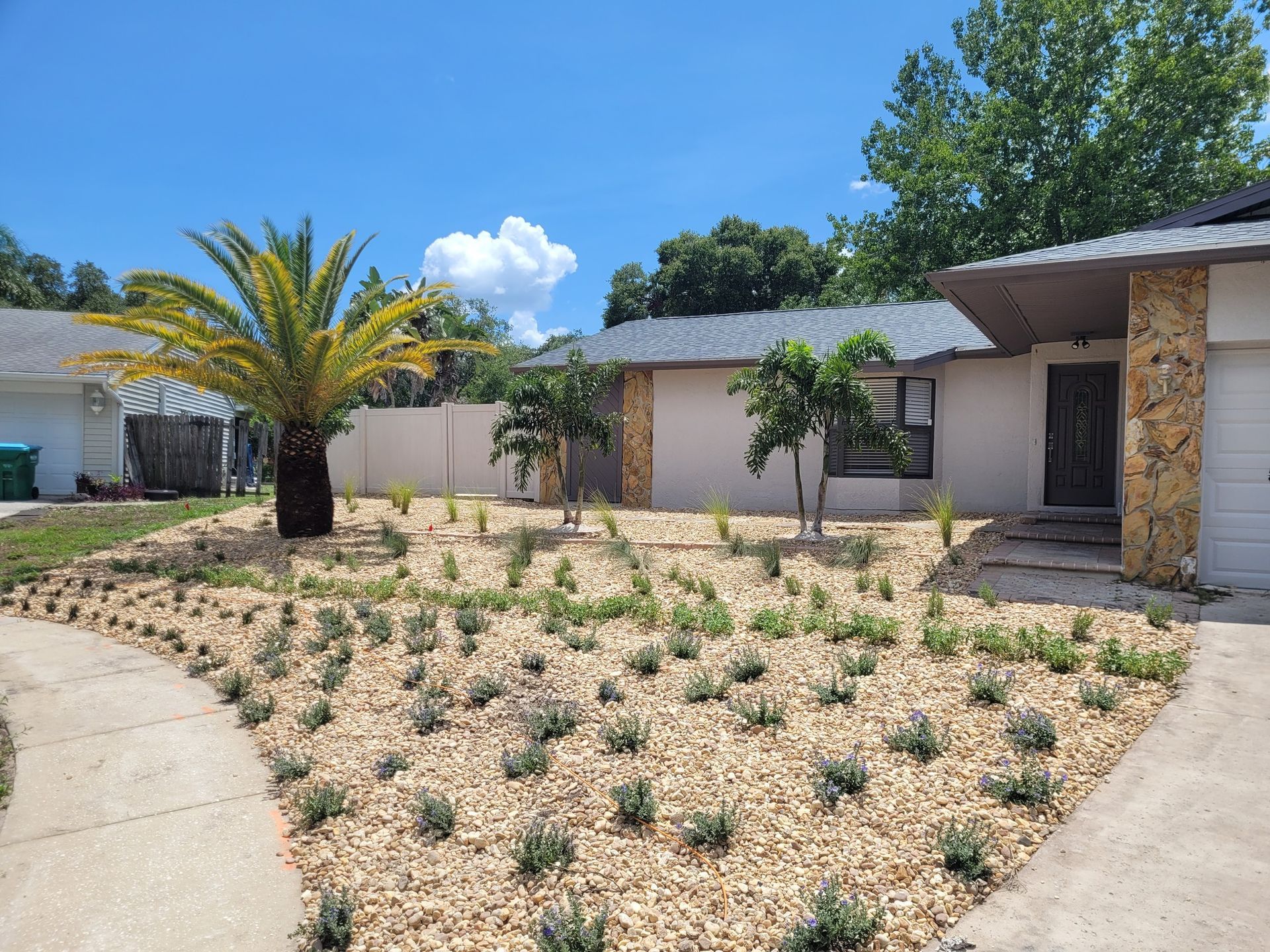 Landscaping | Palm Harbor, FL | Native FL Property Solutions