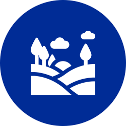 Interior  | Palm Harbor, FL | Native FL Property Solutions