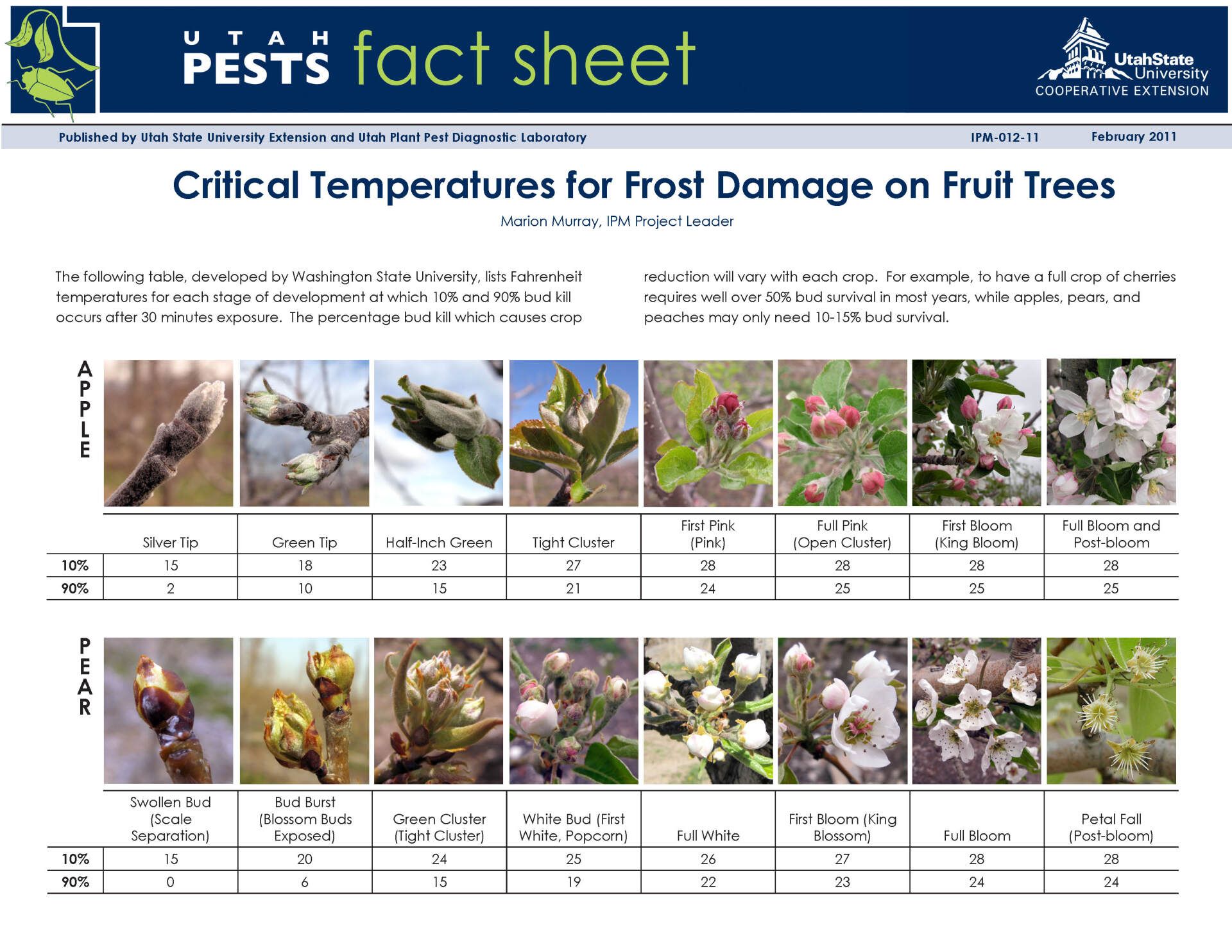 a fact sheet about critical temperatures for frost damage on fruit trees