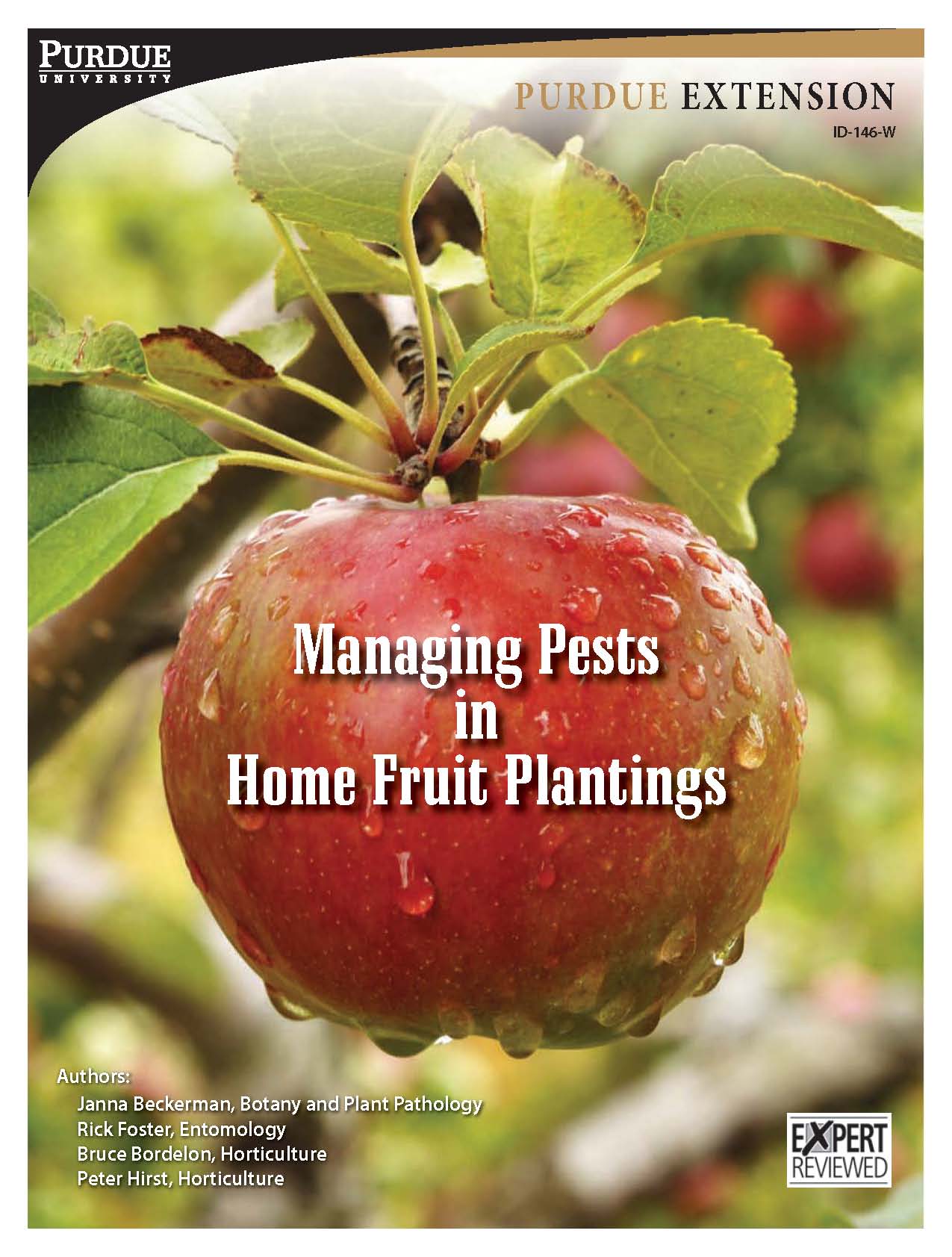 Apple Tree Growing Guide 