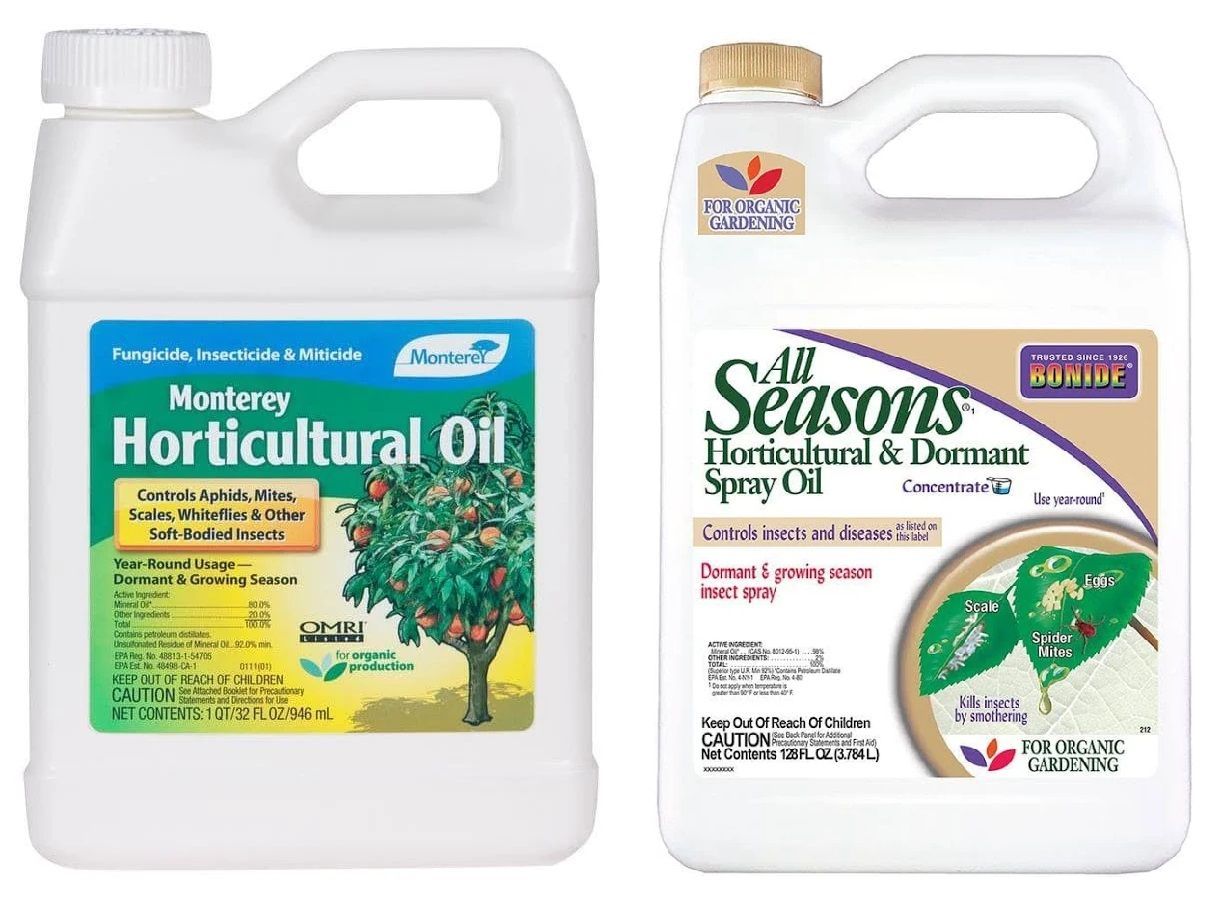 Two white plastic containers of horticultural oil side-by-side, each with labels featuring product names and tree graphics.