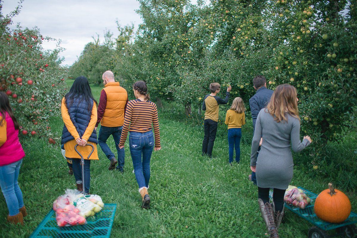 Royal Oak Farm Orchard photo
