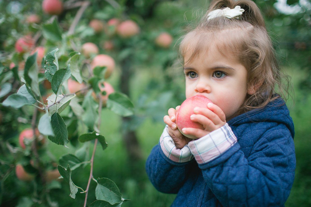 A little girl is eating an apple from a tree.