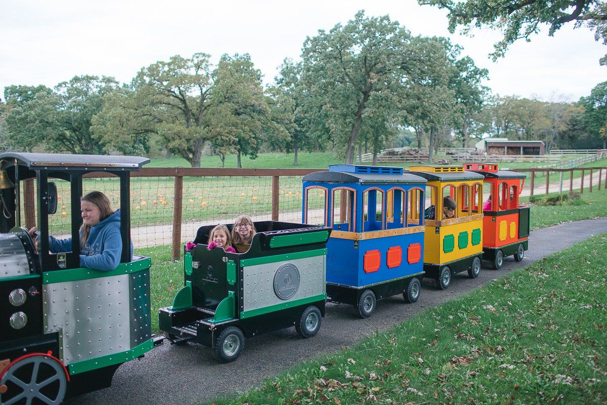 A woman is driving a train with children on it