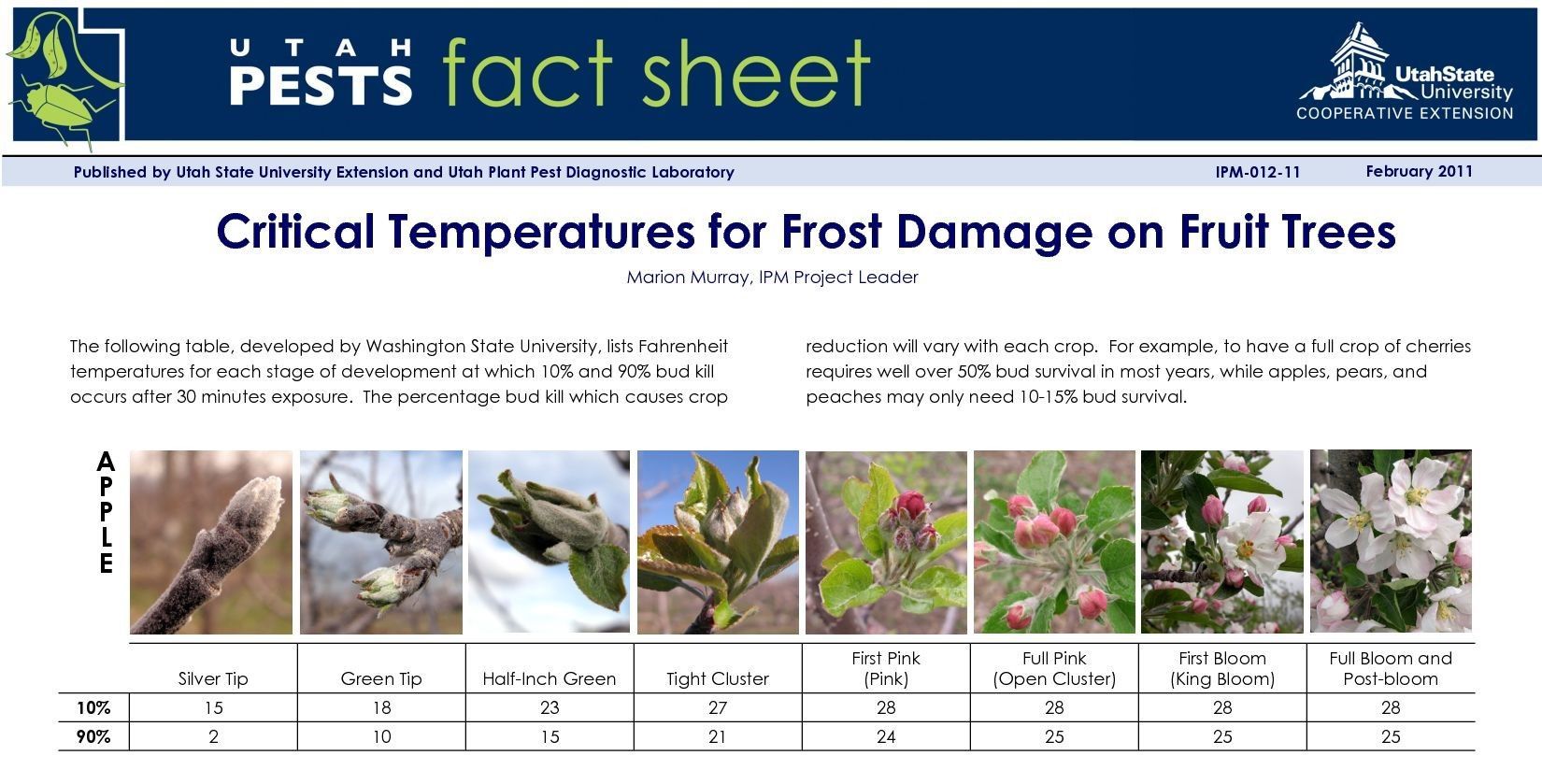 a fact sheet about critical temperatures for frost damage on fruit trees