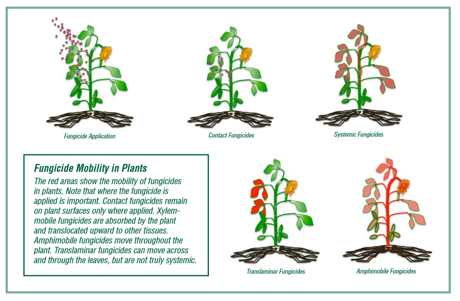 Fungicide Mobility Chart