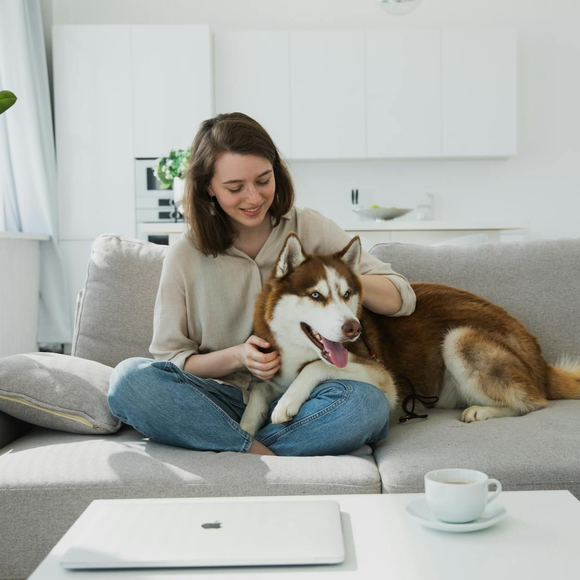 Woman petting a brown and white husky dog on a couch indoors. A laptop and coffee sit on the table.