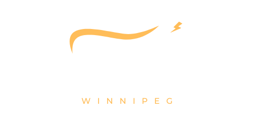 Alpha Car Detailing Winnipeg logo