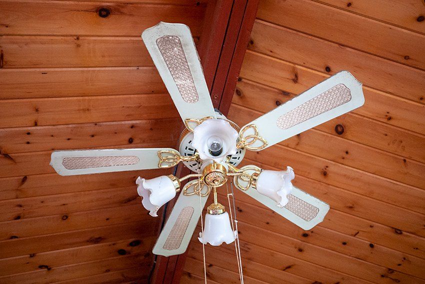 Ceiling Fan — Omaha, NE — Linden Cleaning Service LLC