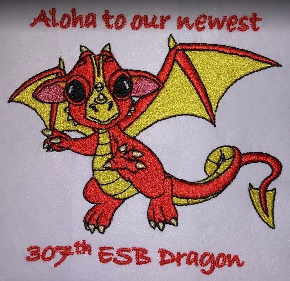 Aloha to our newest 307th esb dragon