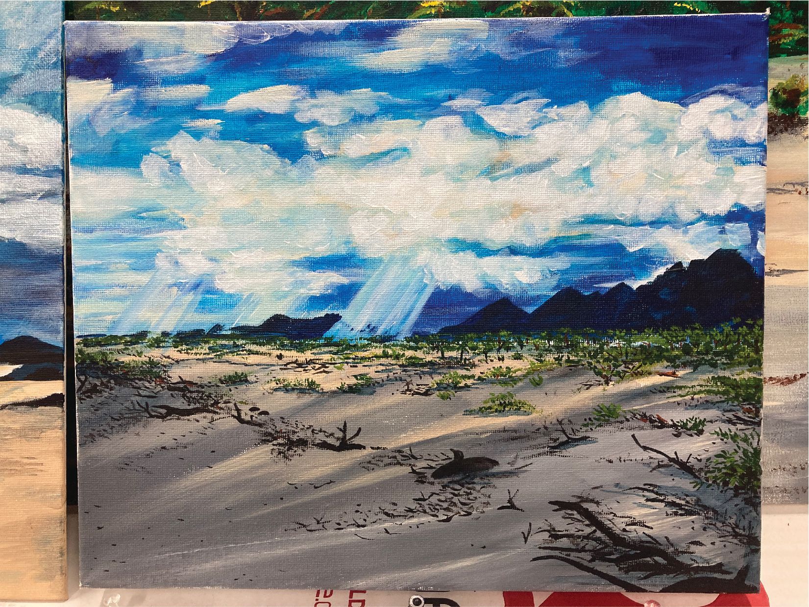 A painting of a desert landscape with mountains in the background — Cairns Custom T-Shirts In Cairns City, QLD
