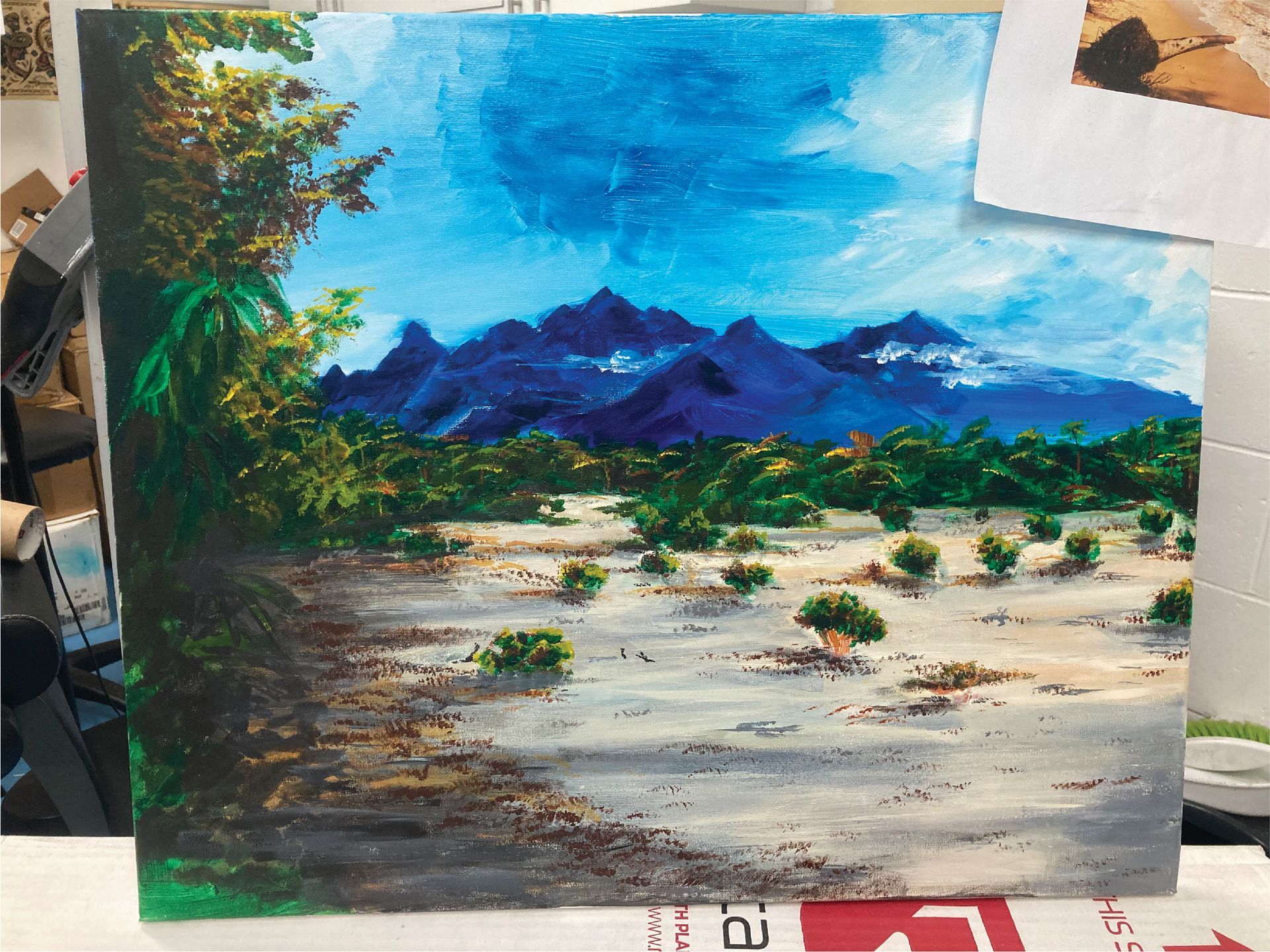 A painting of a desert landscape with mountains in the background — Cairns Custom T-Shirts In Cairns City, QLD