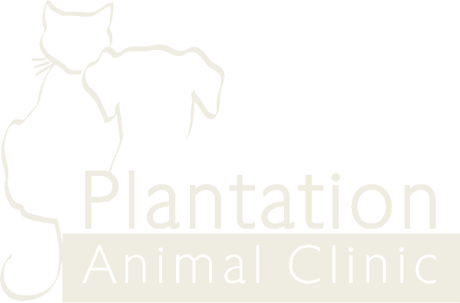 Plantation+Logo+White 640w