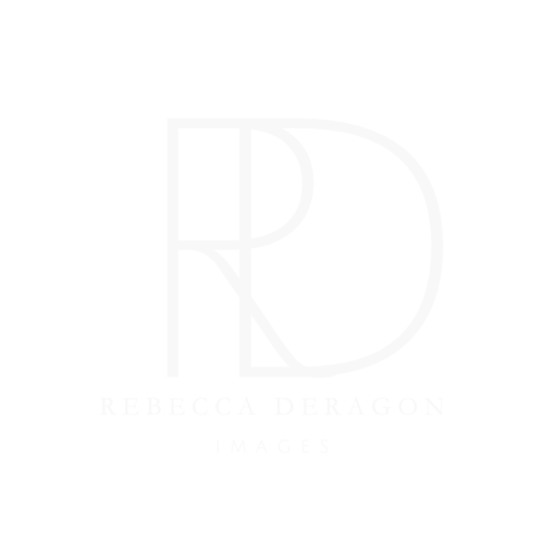 RD initials logo with brand name 