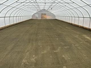 In-Greenhouse Grading
