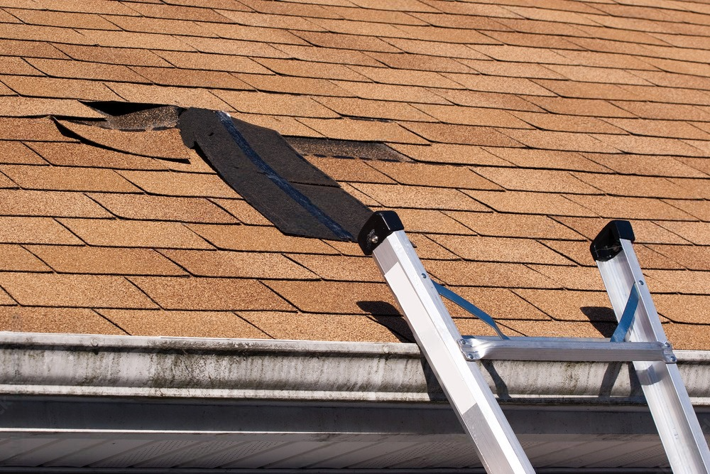 a ladder is leaning against a roof with shingles missing